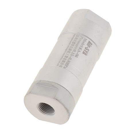 ⚡️Buy Maxbell Brass Foot Valve Mesh Check Valve with Strainer Filter KA ...