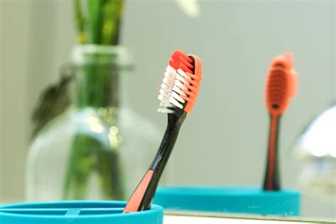 Image result for Toothbrush Cleaner