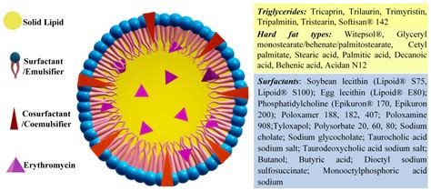 Erythromycin Formulations—A Journey to Advanced Drug Delivery