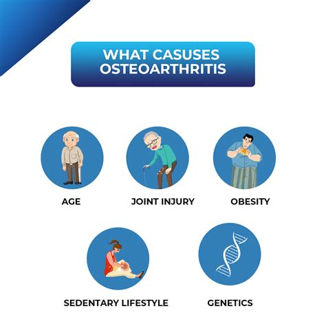 Understanding The Primary Causes Of Osteoarthritis