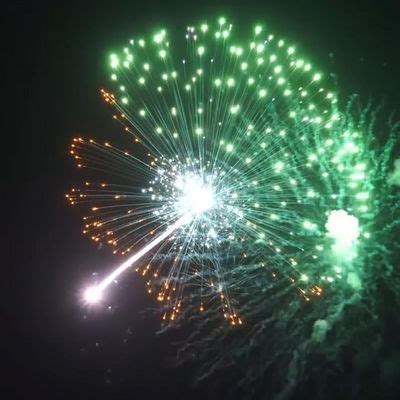 Image result for Display Shell Fireworks