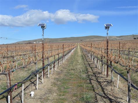 Irrigation Backflow Device Testing 的图像结果