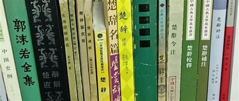 诗经楚辞里面适合男孩取名的字Word模板下载_编号qawdanyn_熊猫办公