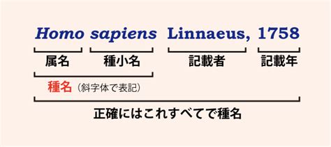 古人是如何起名字的,古人对起名字有哪些要求 - 知乎