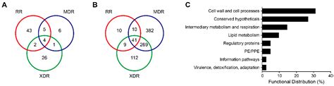 Label-Free Comparative Proteomics of Differentially Expressed ...