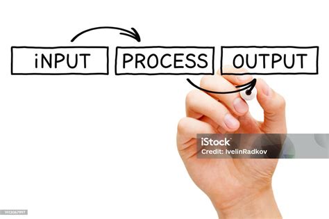 IP Input Process Flowchart 的图像结果