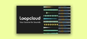 Image result for Plugin Loop Kit