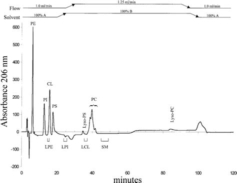 Image result for Normal Phase HPLC Column