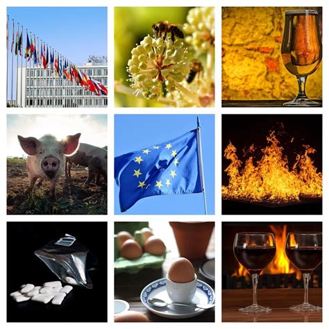 Brussels Bulletin: Food controls ‘dwindle’, wine output drops and calls ...