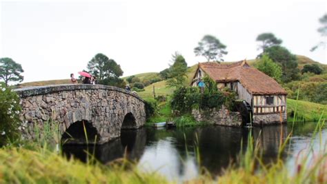 Private Hobbiton Transportation from Auckland in a Luxury Sedan or ...