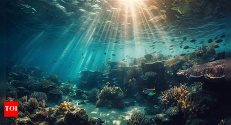 Explained: Why can't we go to the bottom of the ocean? - The Times of India