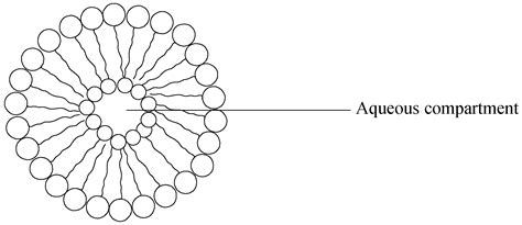 Design and Biological Evaluation of Delivery Systems Containing ...