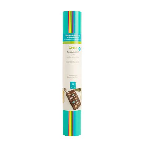 Buy in Bulk - 9 Packs: 6 ct. (54 total) Cricut® Premium Vinyl ...