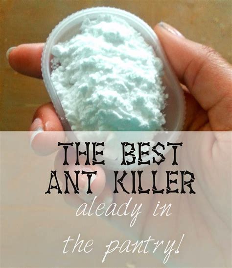 Powdered Sugar Baking Soda Ants at Albert Avila blog