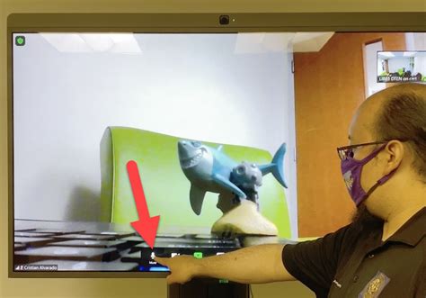 Image result for How to Use Zoom Controls