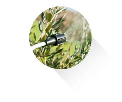 Foam Control Agents | Performance Additives | Gemini Surfactants