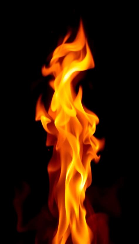 fire gif transparent Image - Free AI Generator | Makepix