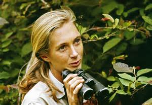United Way CEO: In Jane Goodall, we lost one of humanity’s clearest ...