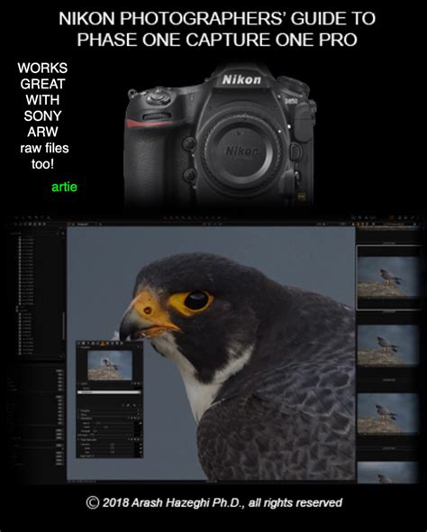 Capture One Complete Beginner's Guide 的图像结果