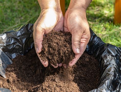 From Peaty Soil to Sustainable Gardening