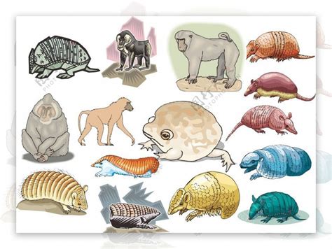 世界动物地图 的图像结果