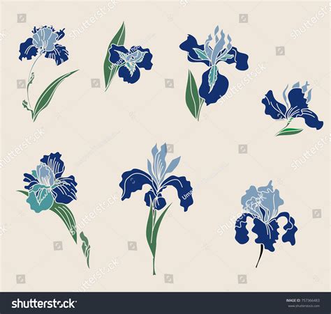 Japanese Iris Flower Sethand Drawn Painting Stock Vector (Royalty Free ...