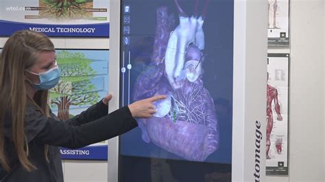 Virtual Dissection Table 的图像结果