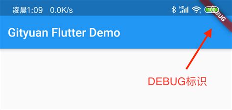 How to Debug in Flutter 的图像结果