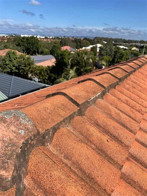 Repointing How To 的图像结果