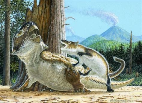 哺乳动物攻击恐龙，罕见化石证据被发现_澎湃号·媒体_澎湃新闻-The Paper