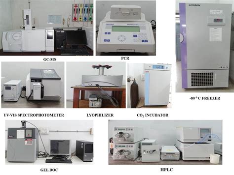 Andhra University | Department of Biochemistry