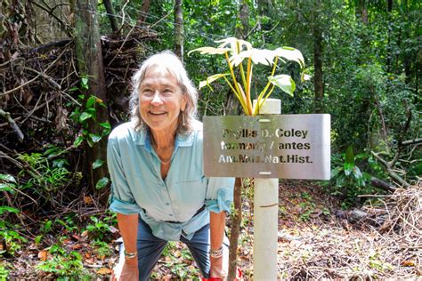 Phyllis D. Coley Trail on Barro Colorado Island – School of Biological ...