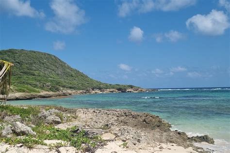 2025 Private Ukulele Lesson on the Beach under the Coconut Trees in Le ...
