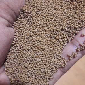 Logarithm Growel Growfin Fish Feed/Food floating pellets(0.8 mm) 425g 0 ...