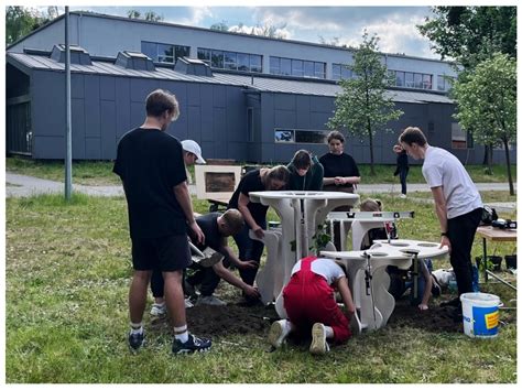 Computer-Aided Greenery Design—Prototype Green Structure Improving ...