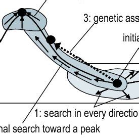 Fitness Landscape 的图像结果