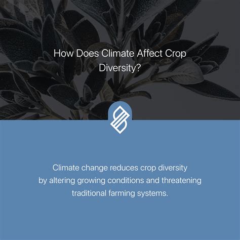 Crop Yields → Term