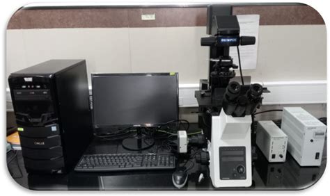 Research Facility | Irsha | Bharati Vidyapeeth