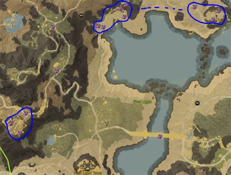Image result for New World Level Map