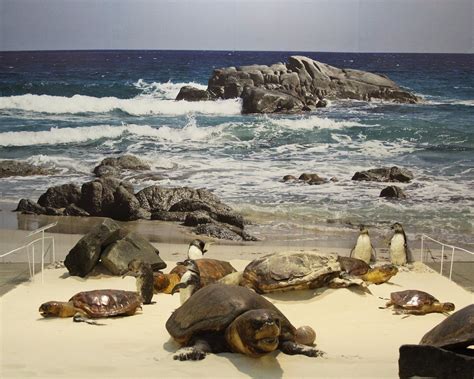 Criciuma Tourism (2023): Best of Criciuma, Brazil - Tripadvisor