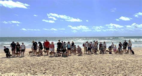 Currimundi Beach Walk, Currimundi Dog Beach, 22 November to 23 November ...