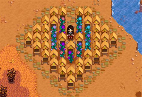 Flowers in Stardew Valley: The Beauty of the 4 Seasons - Stardew | Guide