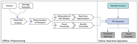 Risk-Based and Hydrodynamic Pluvial Flood Forecasts in Real Time