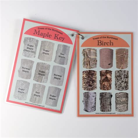 Image result for Tree Identification Guide With