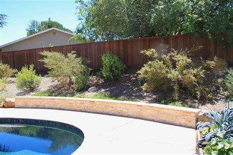 Maria and David Dawson’s garden—#51 ♿️ 🐦 - Bringing Back the Natives Garden Tour