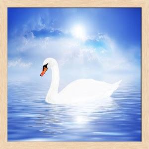 Artzfolio White Swan Framed Wall Art Painting Print Canvas 12 inch x 12 ...
