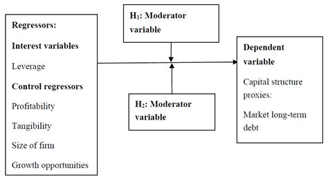Unleashing the Moderating Influence of Firms’ Life Cycle Stages and ...