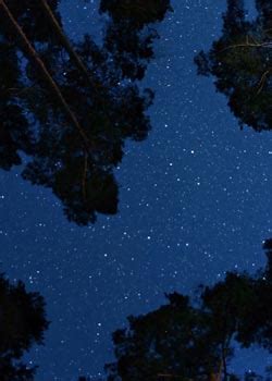 Country Ville Dehradun | Luxury Homestay in Dehradun | Homestay in ...