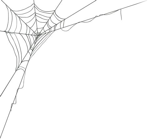 Spider web Portable Network Graphics Vector graphics Image - spider png ...
