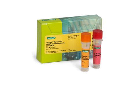 CDNA Synthesis Kit Supplier from Delhi